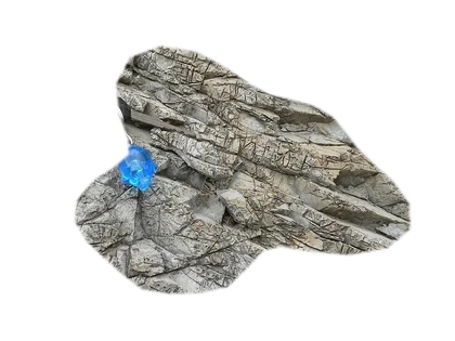 elephant-skin
